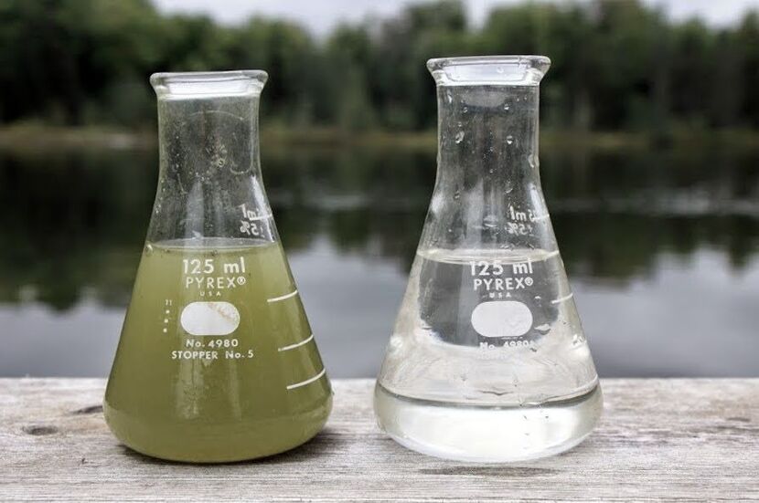 Two glass flasks at the edge of a dock, one with clear water, one with algae-ridden water